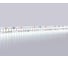 Светодиодная лента Ambrella light 2835 240Led /19.2W m/12V IP20 6500K 5m GS1503 2