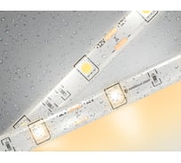 Светодиодная лента Ambrella light 5050 30Led /7.2W m/ 12V IP65 3000K 5m GS1901