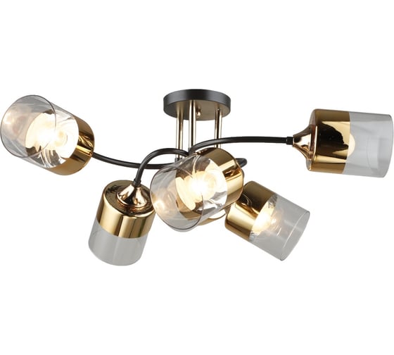 Потолочная люстра Мелодия Света SL2836-6 CF+GD 000066043 1