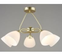 Потолочная люстра Мелодия Света SL4813-5 GD 000066041