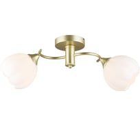 Потолочная люстра Мелодия Света SL4840-2 GD 000066031