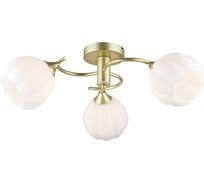 Потолочная люстра Мелодия Света SL4840-3 GD 000066032