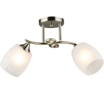 Потолочная люстра Мелодия Света SL8438-2 AB 000066056