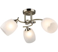 Потолочная люстра Мелодия Света SL8438-3 AB 000066057