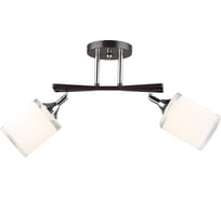 Потолочная люстра Мелодия Света SL9079-2 CF+CR 000066028