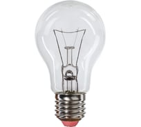 Лампа накаливания Экономка ЭКОНОМОВЪ груша А50 95Вт Е27 1260лм Гофра EcoffA5095wE27