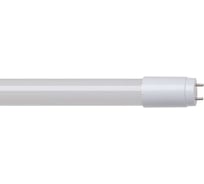 Лампа Экономка LED 22Вт Т8 G13 150см 6500К 1800лм стекло ECO LED 22wT865GL