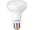 Лампа светодиодная General Lighting Systems GLDEN-R80-10-230-E27-2700, 10Вт, 835Лм, 230В, цоколь Е27, колба R80 (рефлектор), 2700К - теплый белый свет 628400 1
