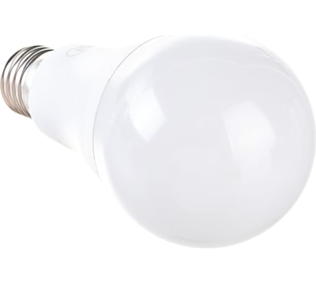 Светодиодная лампа General Lighting Systems WA60-20W-E27-690000
