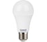 Светодиодная лампа General Lighting Systems WA60-14W-E27-637200 1