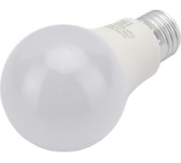 Светодиодная лампа General Lighting Systems WA60-14W-E27-2700K 637000