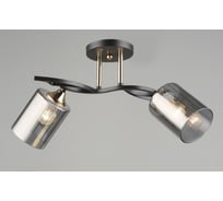 Потолочная люстра Мелодия Света SL2171-2 CF+GD 000066060