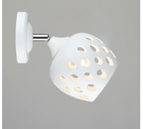 Настенный светильник Мелодия Света SL6864-1W WT+CR 000066036
