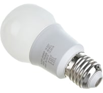 Светодиодная лампа General Lighting Systems ECO WA60P-15W-E27-660344