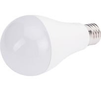 Электрическая светодиодная лампа Camelion LED20-A65/865/E27 20 Вт 220 В 13166