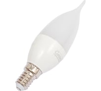 Светодиодная лампа General Lighting Systems Свеча на ветру CFW-8W-E14-685500
