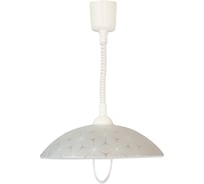 Светильник Элетех Васильки 410 НСБ 72-60 М52 ИУ, матовый белый/лифт белый 1005253205