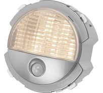 Ночник TDM ELECTRIC платина, "байкал" SQ1819-0348