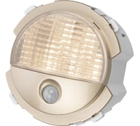 Ночник TDM ELECTRIC шампань, "байкал" SQ1819-0548