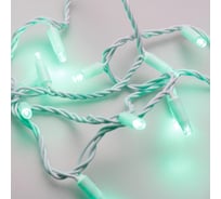 Светодиодная гирлянда Ardecoled ARD-STRING-CLASSIC-10000-WHITE-100LED-STD GREEN 1шт 025815