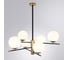 Люстра на штанге ARTE LAMP ARKAB A2225LM-6BK 2