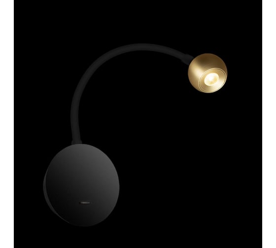 Настенный светильник LOFT IT Point 10254 Brass