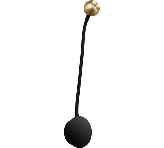 Настенный светильник LOFT IT Point 10254 Brass
