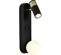 Спот F-promo invento 4171-2W