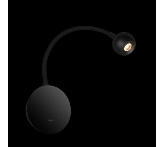 Настенный светильник LOFT IT Point 10254 Black