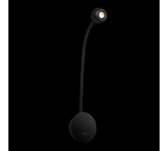 Настенный светильник LOFT IT Point 10254 Black