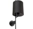 Настенный светильник LOFT IT Ritz 10253W/A Black 3