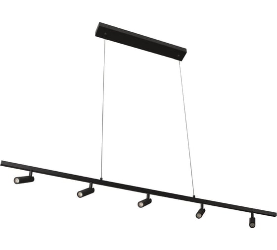 Подвесной светильник LOFT IT Sign 10260/5 Black