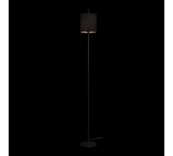 Торшер LOFT IT Ritz 10253F/A Black