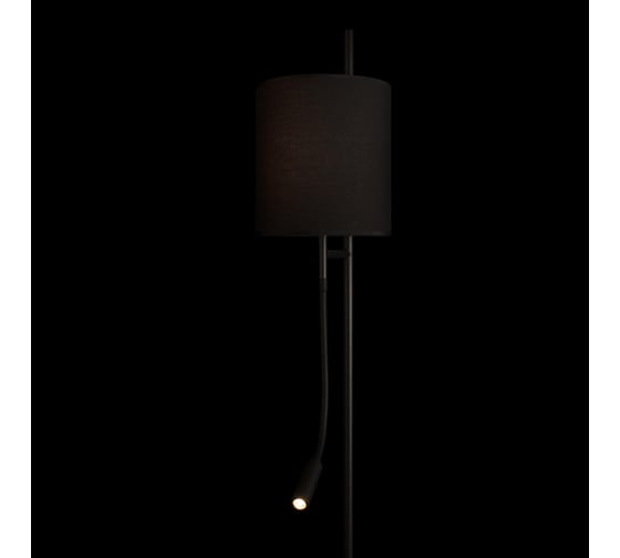 Торшер LOFT IT Ritz 10253F/B Black