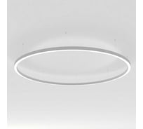 Светильник Arlight SP-LINE-HANG-ARC-O3535-D1500-124W Day4000 1шт 034013(2)