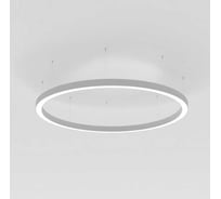 Светильник Arlight SP-LINE-HANG-ARC-O3535-D800-65W Day4000 1шт 034008(1)