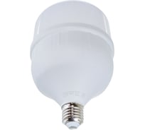 Универсальная высокомощная светодиодная лампа General Lighting Systems E27, энергоэффективная лампочка Цилиндр, световой поток 4600 лм (люмен), мощность 50 Вт, холодный белый 6500К 660003