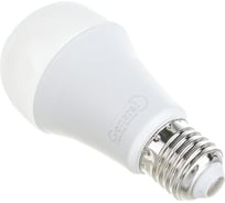 Светодиодная лампа General Lighting Systems ECO WA60P-25W-E27-660350