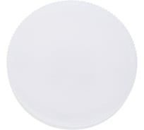 Светодиодная лампа General Lighting Systems GX53-12W-GX53-рассеиватель призма 660336