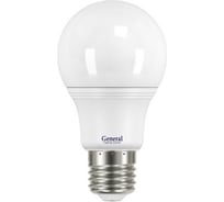Светодиодная лампа General Lighting Systems ECO WA60P-20W-E27-660347