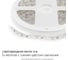 Светодиодная лента APEYRON 12В, 9.6Вт/м, smd3528, 120д/м, IP20, синий 18 3