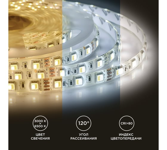 Светодиодная лента APEYRON 12В, 14.4Вт/м, smd5050, 60д/м холодный белый+теплый белый 117