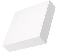 Светильник Arlight IM-QUADRO-EMERGENCY-3H-S250x250-28W Day4000, IP40 Металл, 1шт 041005