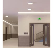 Светильник Arlight IM-QUADRO-EMERGENCY-3H-S400x400-44W Day4000, IP40 Металл, 1шт 041026