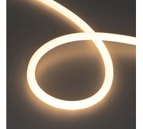 Лента герметичная Arlight MOONLIGHT-TOP-S-M560-D13mm 48V Warm2700 Arligh 10м 043819
