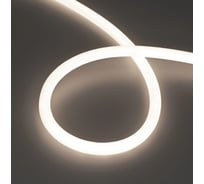 Лента герметичная Arlight MOONLIGHT-TOP-S-M560-D13mm 48V Day4300 10м 043821