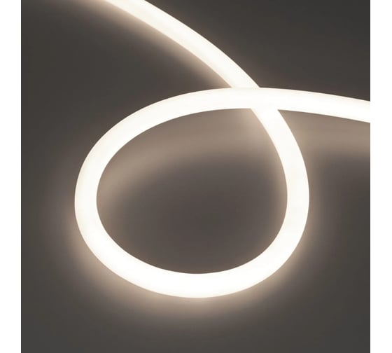 Лента герметичная Arlight MOONLIGHT-TOP-S-M560-D13mm 48V Day4300 10м 043821