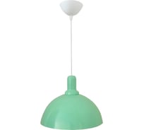 Светильник Apeyron декоративный, подвесной, металлический, Е27 15Вт, 220В, мятный / 12-105
