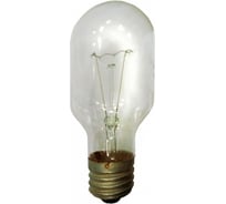 Лампа TDM ELECTRIC Т220-500 500 Вт, цоколь Е40 SQ0343-0026