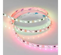 Светодиодная лента Arlight SPI-B60-10mm 12V RGB-PX3-BPT 5м 039179